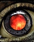 pic for eye offire